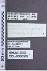 Etiketten zu Acteniceromorphus ferrugineipennis (Candèze, 1879) (NHMW-ZOO-COL-0008369)